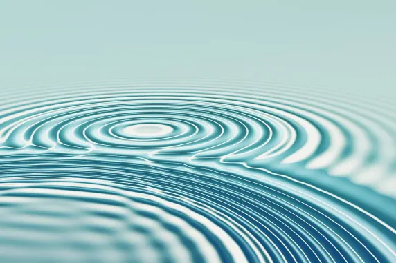 Casino All In Soporte